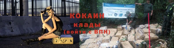 хмурый Пересвет