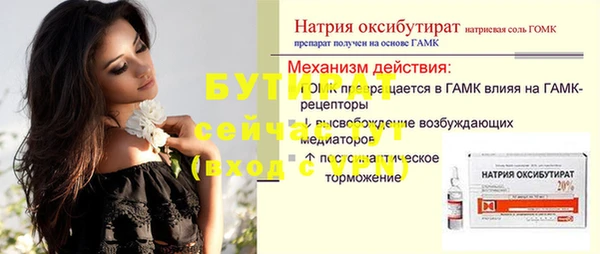 хмурый Пересвет