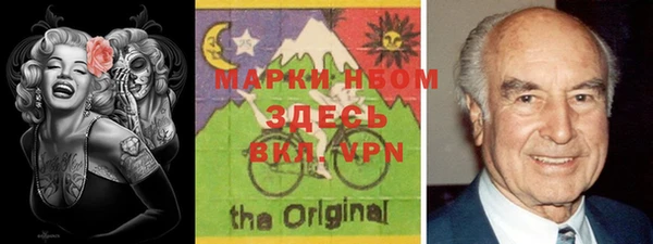 хмурый Пересвет