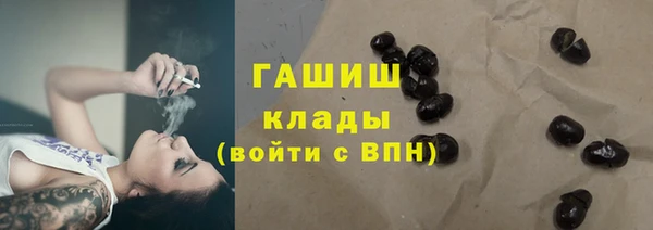 хмурый Пересвет