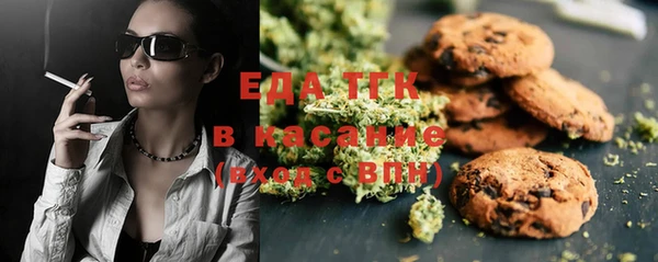 хмурый Пересвет