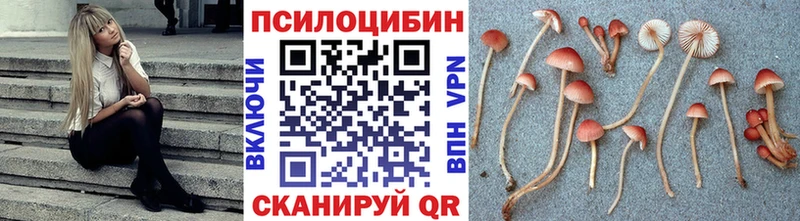 Псилоцибиновые грибы мицелий  Купить  Алапаевск 